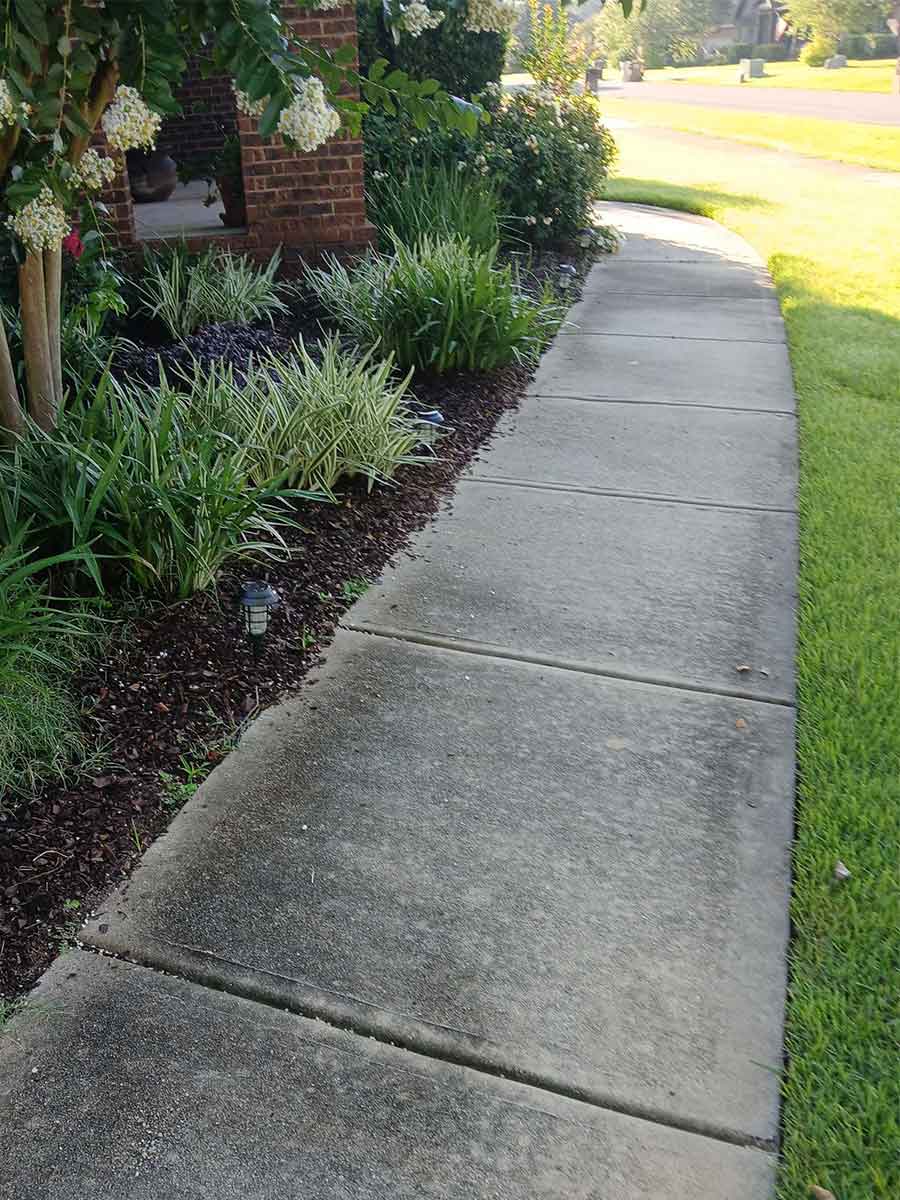 Sidewalk Cleaning before pressure washing